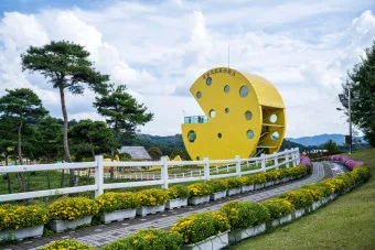 임실 가볼만한곳 베스트 10 숨겨진 명소_19