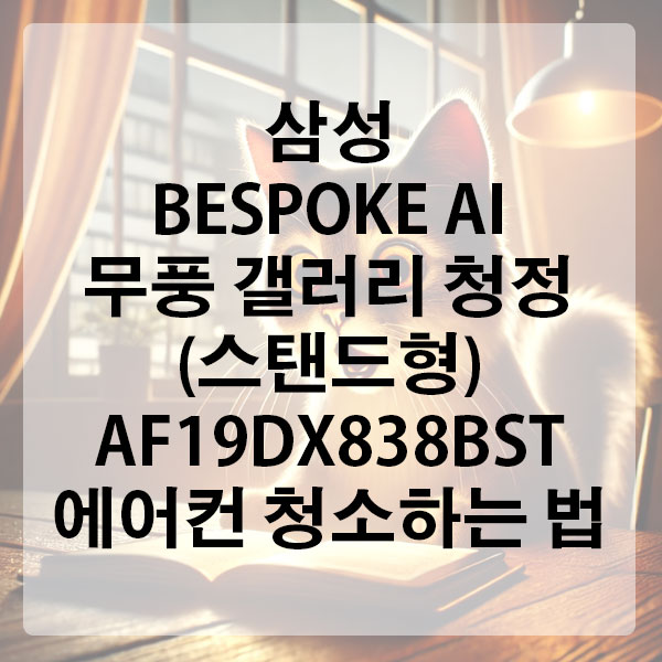 삼성 BESPOKE AI 무풍 갤러리 청정 62.6㎡ (스탠드형) AF19DX838BST 에어컨 청소하는 법