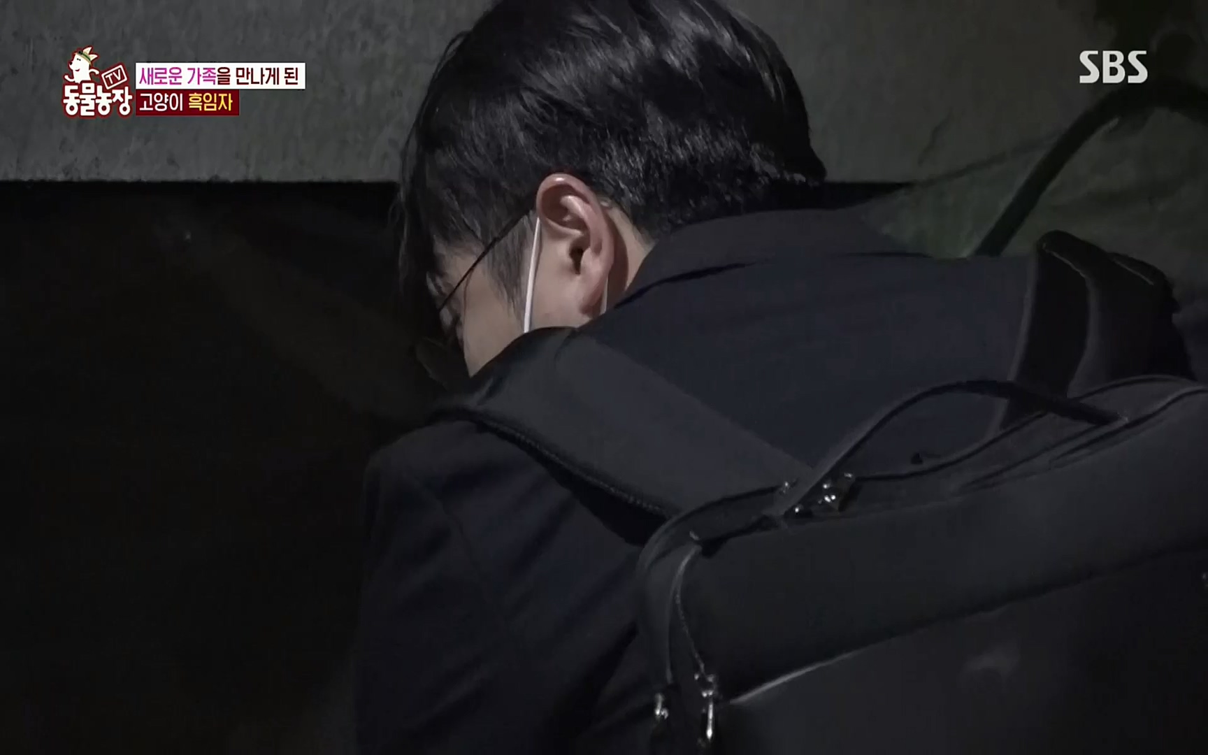 TV 동물농장.E1072.220605p.H264-F1RST.mp4_20220605_181440.948.jpg