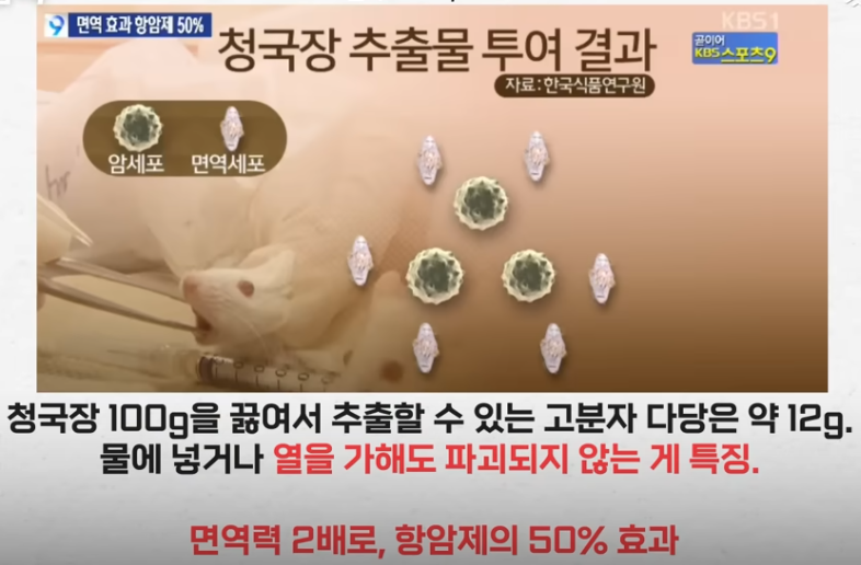 청국장의 장점