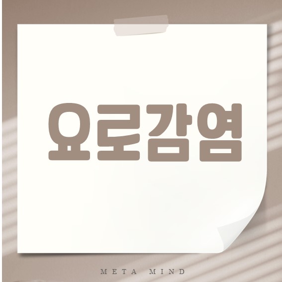 요로감염 증상과 원인, 치료부터 예방까지