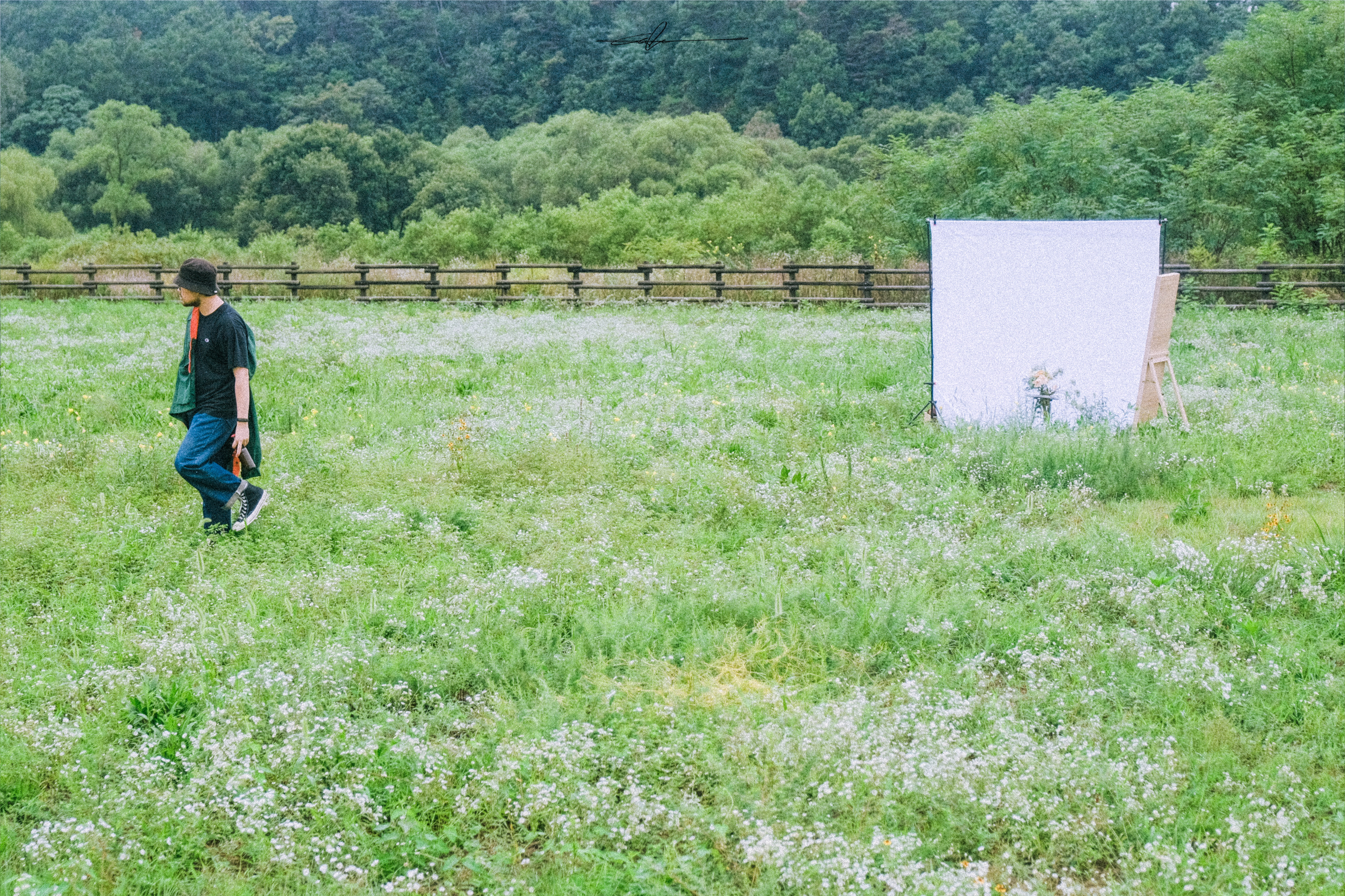  #f4e19f  ISOLATION_3