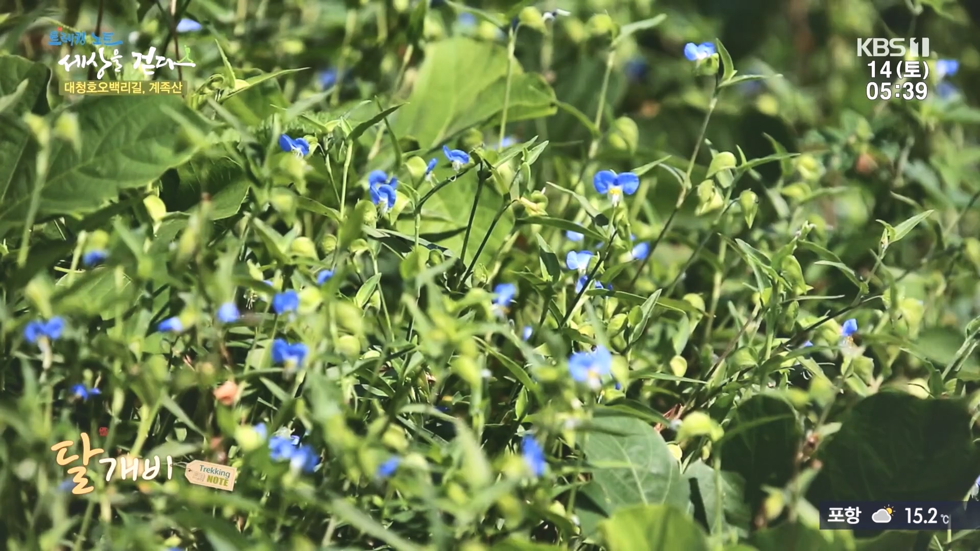 트레킹노트 세상을 걷다.E290.231014p.H264-F1RST.mp4_20231014_180450.175.jpg