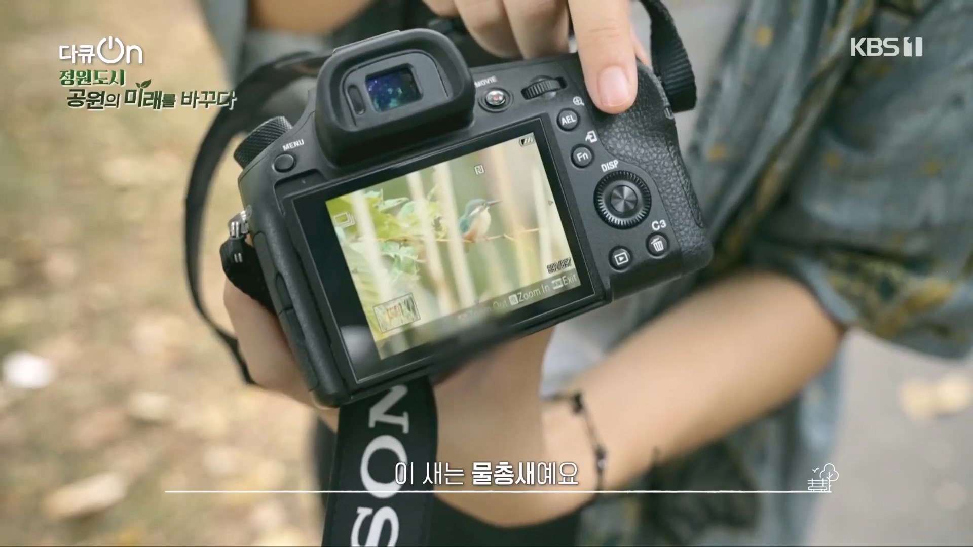 다큐 On.E230.231209p.H264-F1RST.mp4_20231211_195519.664.jpg