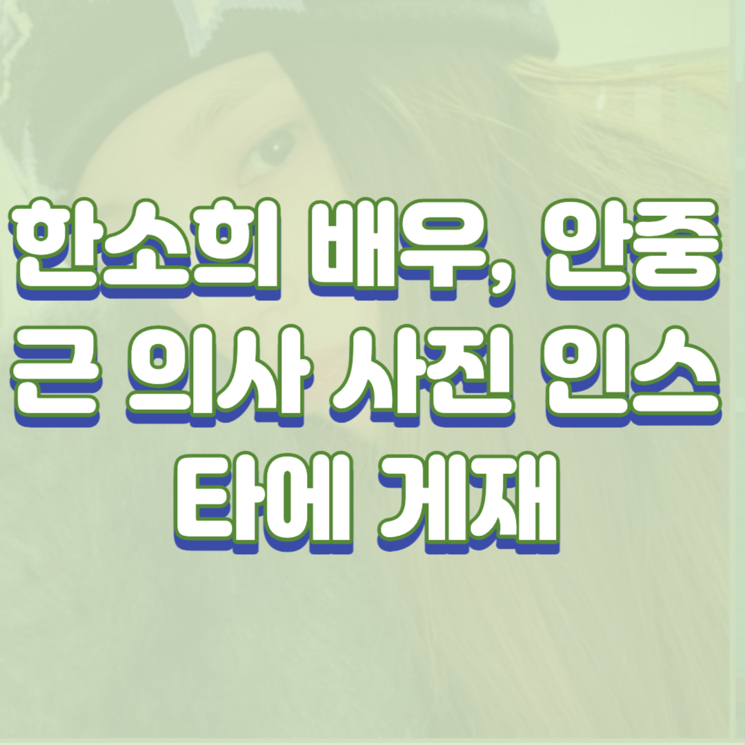  한소희 배우, 안중근 의사 사진 인스타그램 게재에 일본 네티즌 반응