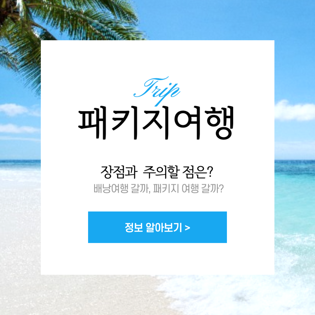  편하게 여행하기 위해 선택한 패키지 여행! 장점과 주의할 점은?