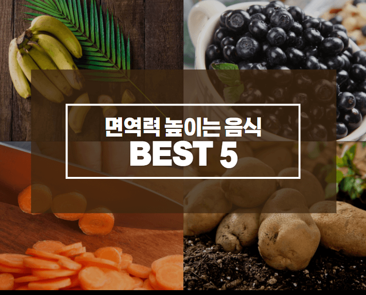  면역력 높이는 음식  BEST 5