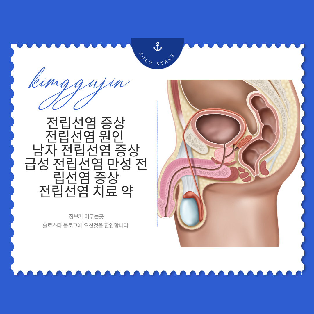 전립선관련 그림