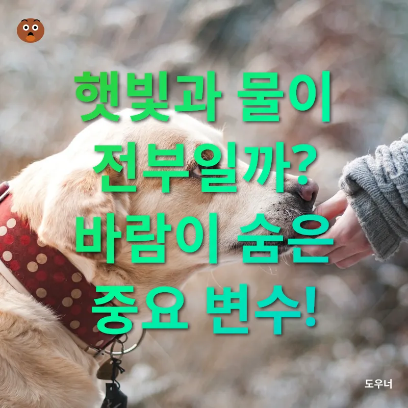 원예 반려식물_2