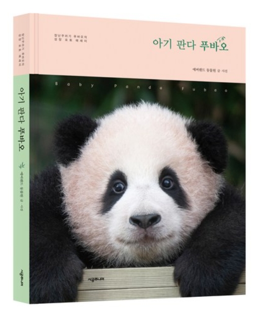 아기 판다 푸바오:장난꾸러기 푸바오의 성장 포토 에세이