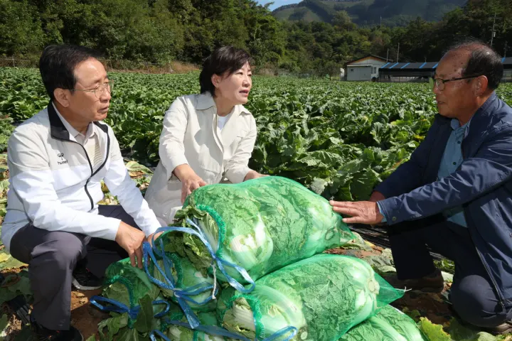 송미령 농림축산식품부 장관이 배추 생육 상황 점검(충북 단양)