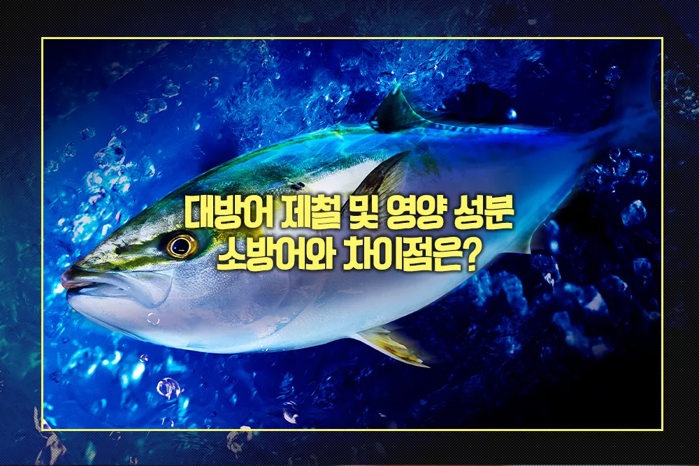 대방어 제철 및 영양 성분, 소방어와 차이점