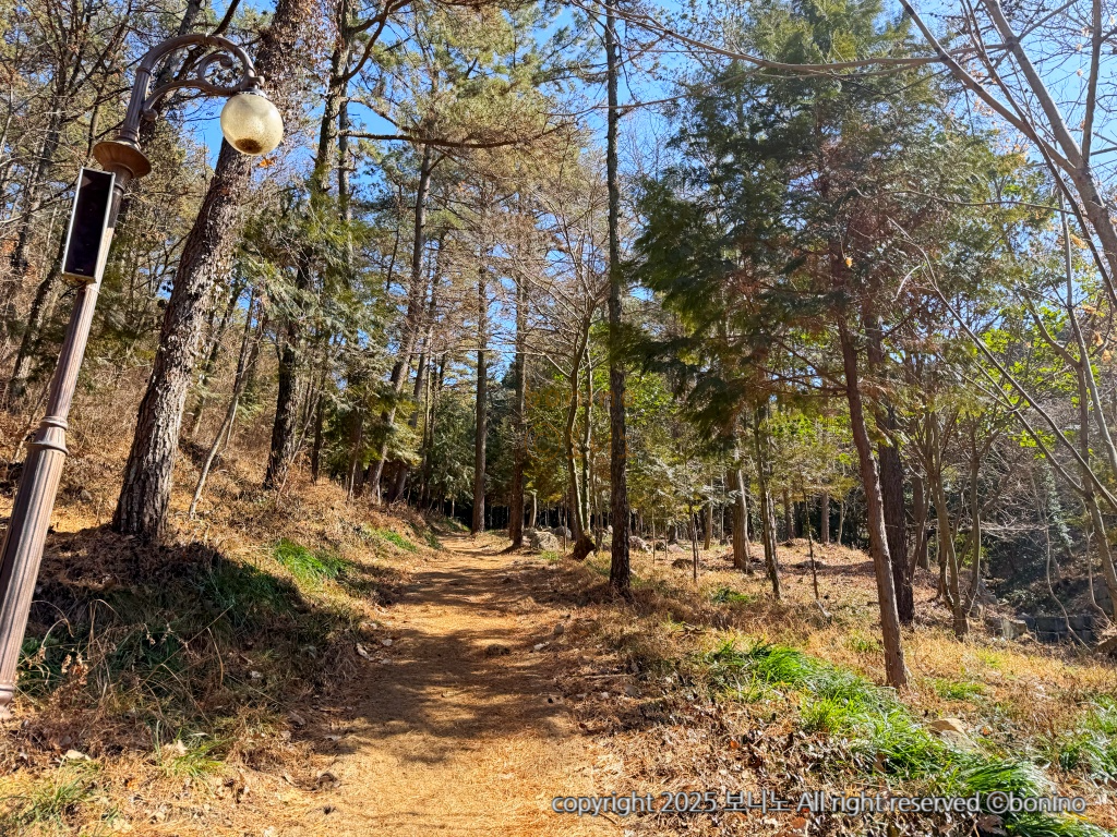 억불산-산림욕장-사진