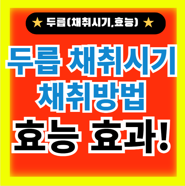  두릅 채취시기 및 채취방법, 보관방법, 두릅 숙회요리(+효능,효과)