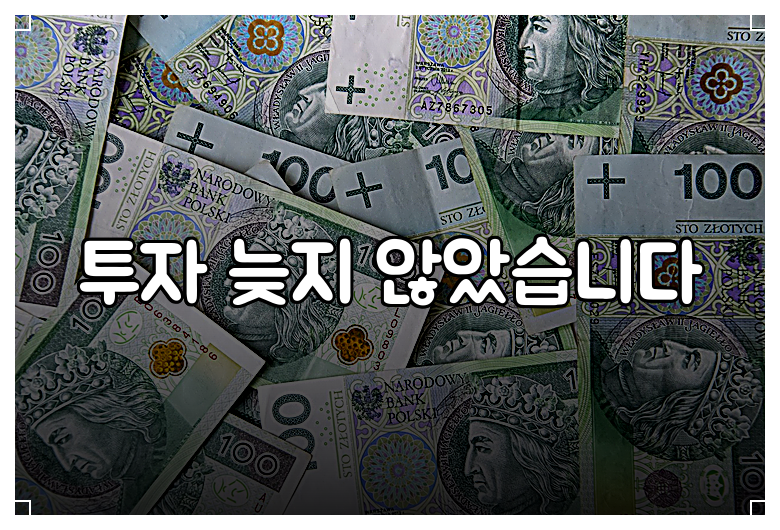 투자 늦지 않았습니다