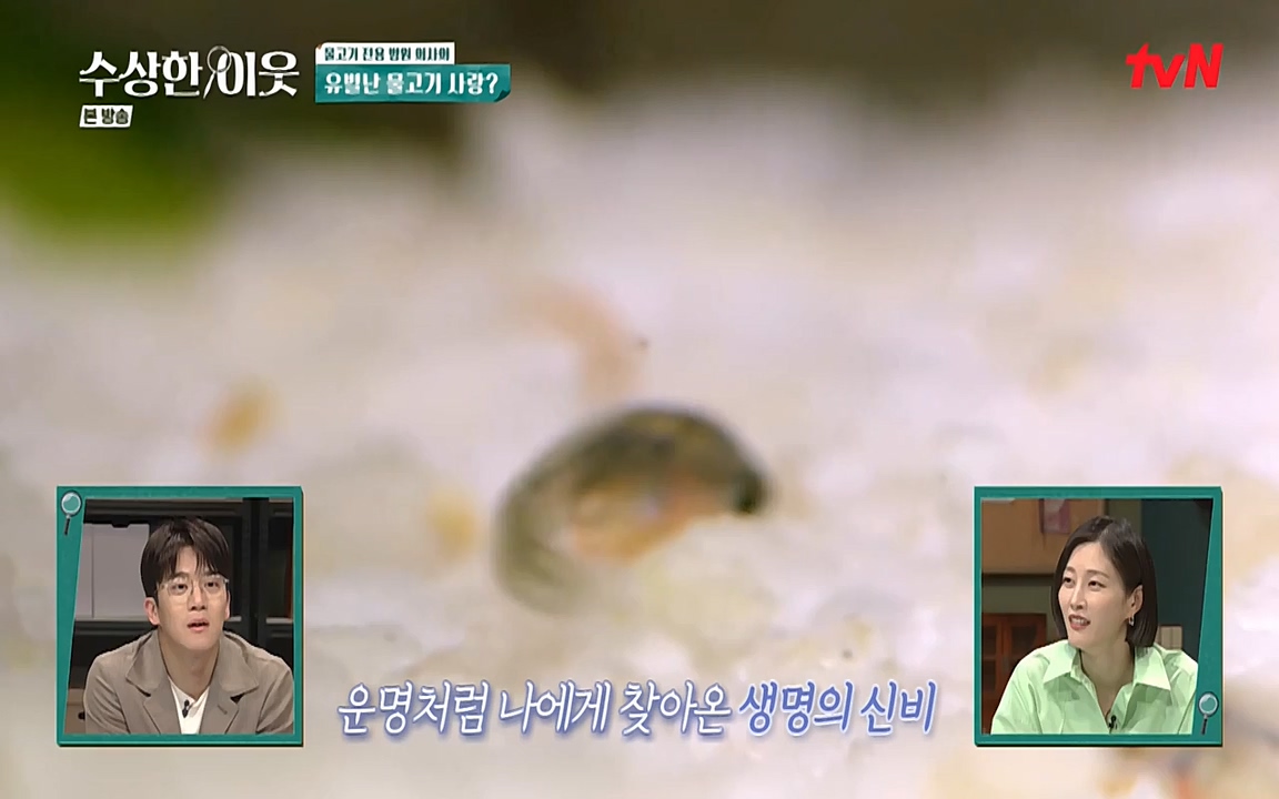 수상한 이웃.E04.220422p-NEXT.mp4_20220424_193443.118.jpg