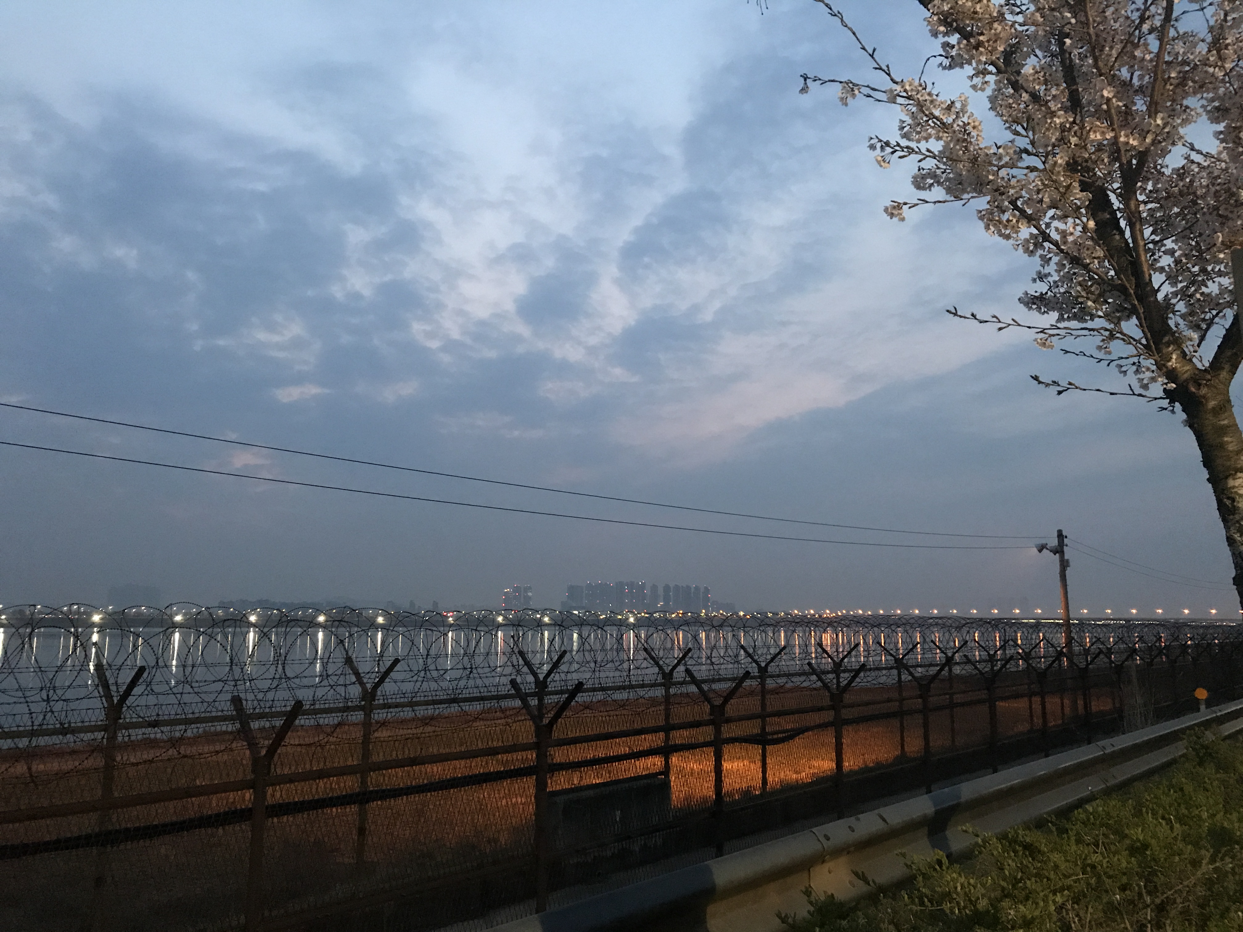  새벽 조깅 4일차