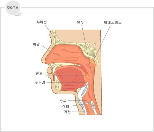 인후염 증상