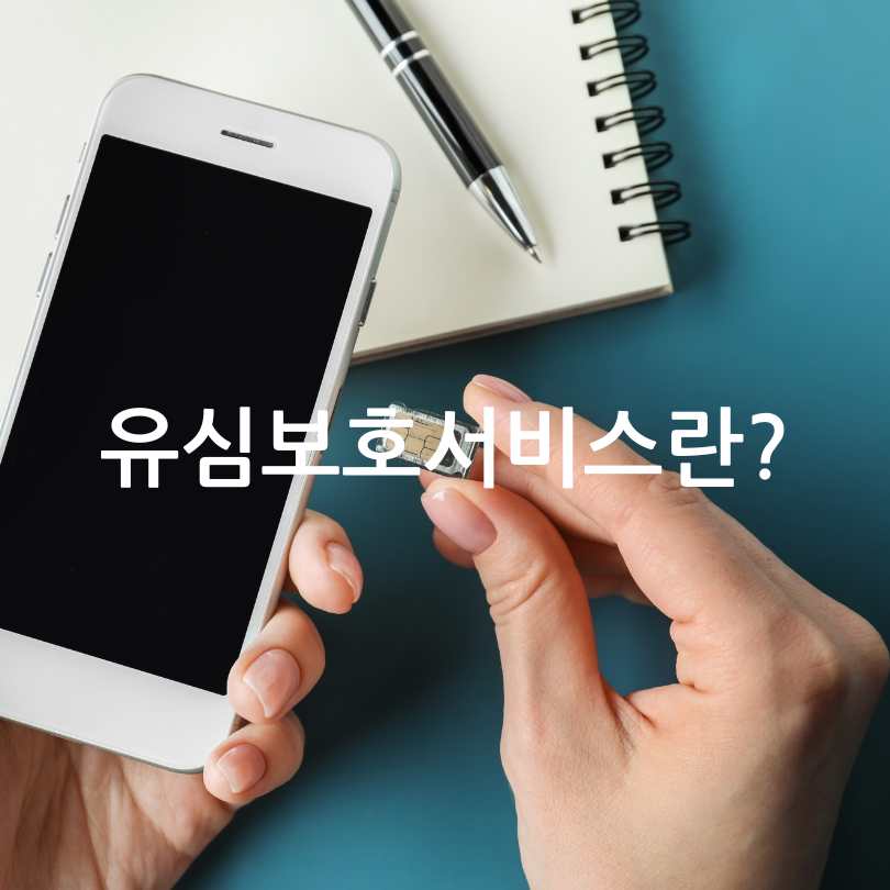 SK유심보호서비스&amp;#44; 해외 로밍
