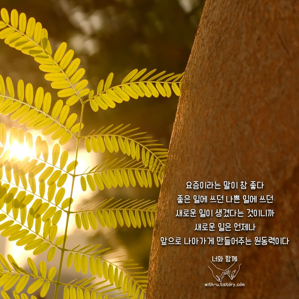  요즘 명언 : 짧고 좋은 글귀 : 짧은 명언