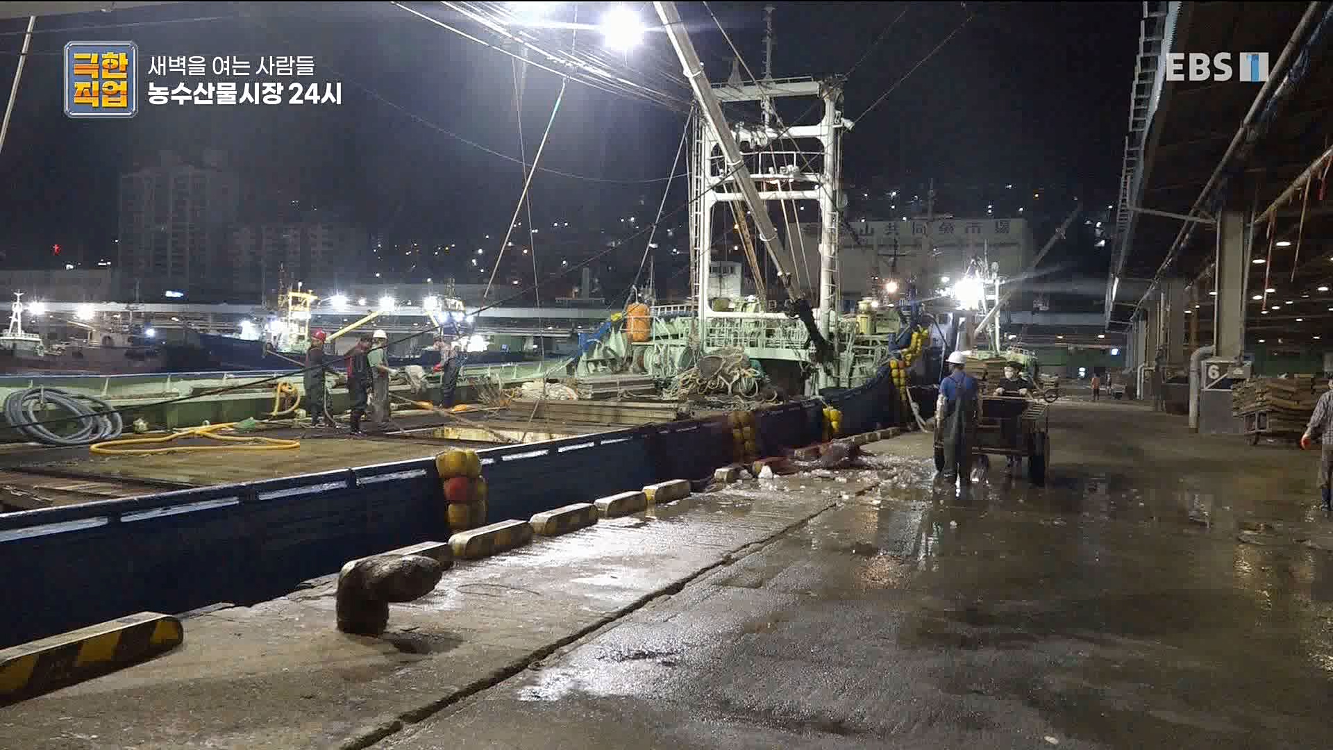 농수산물 시장 24시.mp4_20221020_161647.226.jpg