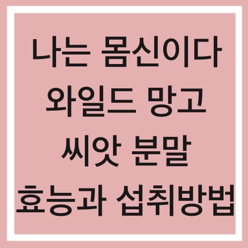  와일드 망고 씨앗 분말 효능 효과