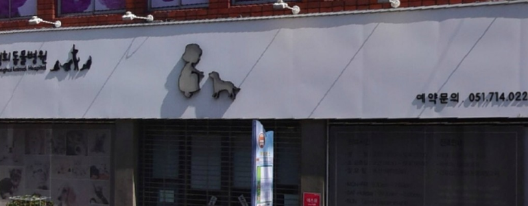 부산 영도구 동물병원