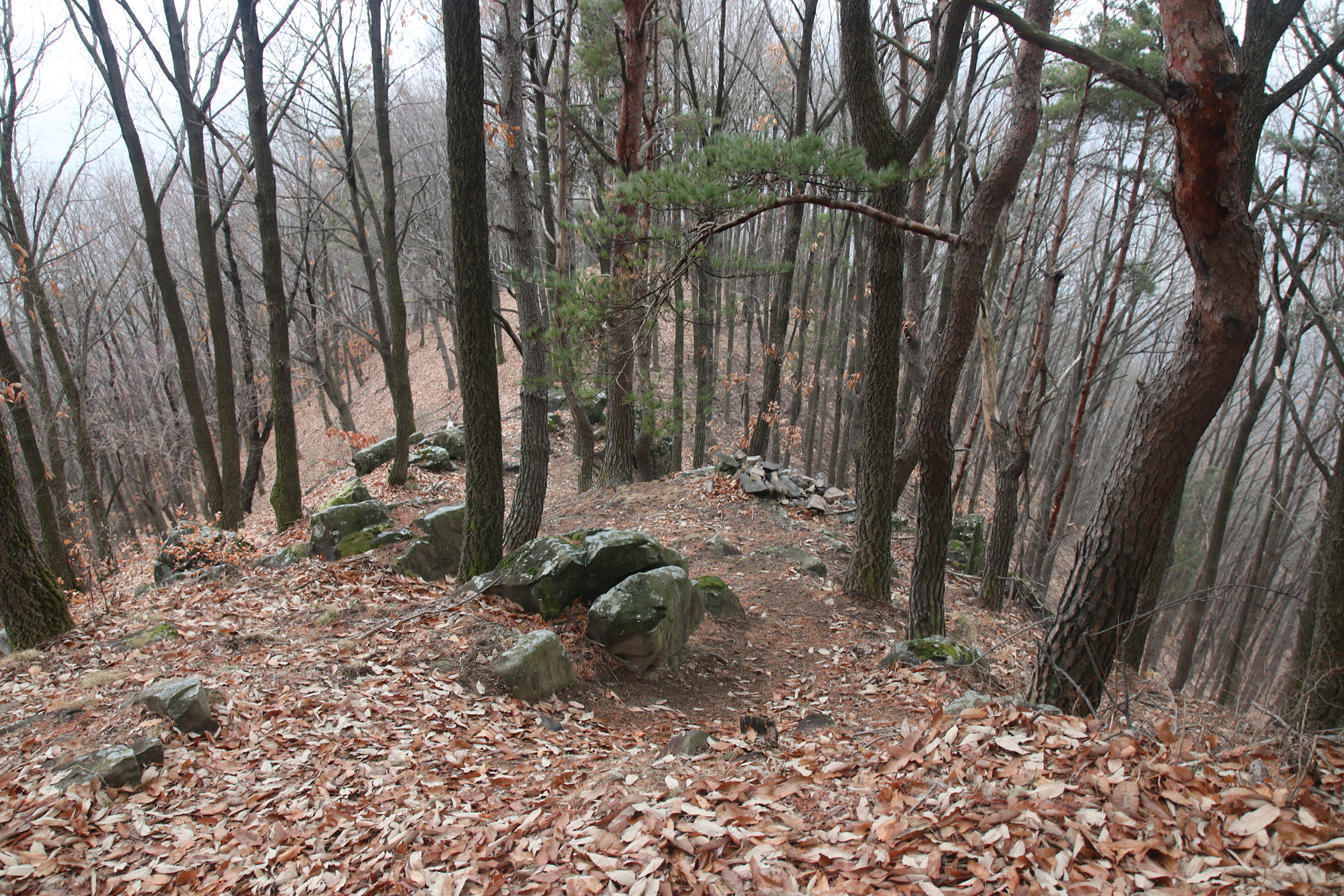 경남 의령군 국사봉 05 29