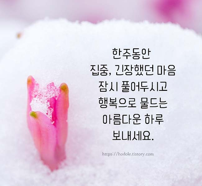 행복-이미지-모음