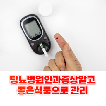  당뇨병에 좋은건강식품 및 원인과증상