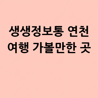  생생정보통 재인폭포 백의리층 좌상바위 와썹카약 장기선마카페 연천전곡리유적 가볼만한 곳 정리 위치 장소 운영시간