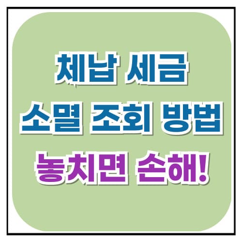 체납 세금 소멸 조회 방법 놓치면 손해 알아야 할 모든 것