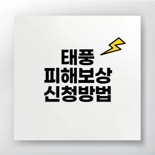 태풍 피해 보상 신청 방법을 설명하는 일러스트 가이드