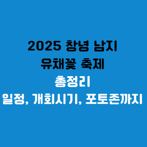 창녕 남지 유채꽃 죽제