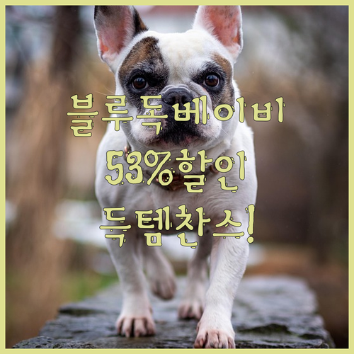 블루독베이비 득템 찬스! 클래식 베이