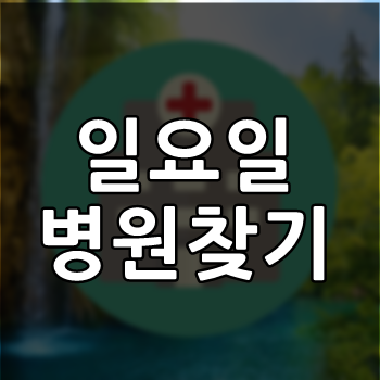  일요일 병원찾기 [연휴,명절,공휴일 병원안내]