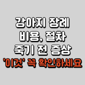 강아지-장례