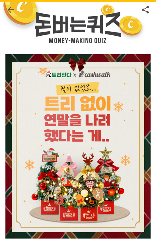  캐시워크 돈버는 퀴즈 정답, 트리판다에서 크리스마스 트리를 구매