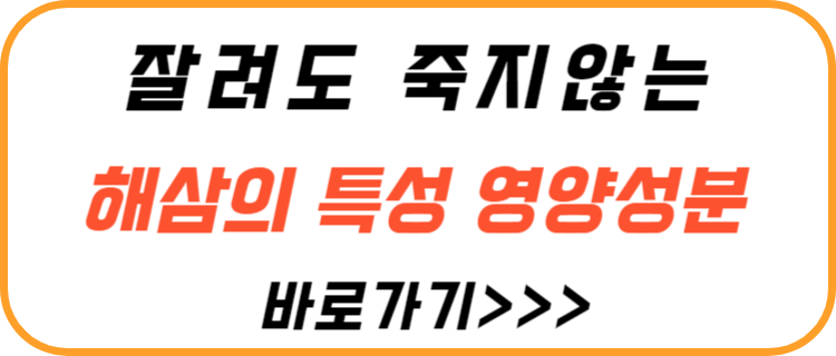 잘려도-죽지-않는-해삼-특징