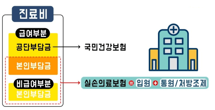  실손의료보험 무사고자 보험료 할인제도 알아보기