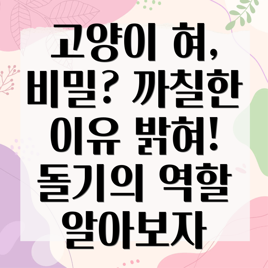 고양이 혓바닥 까칠함