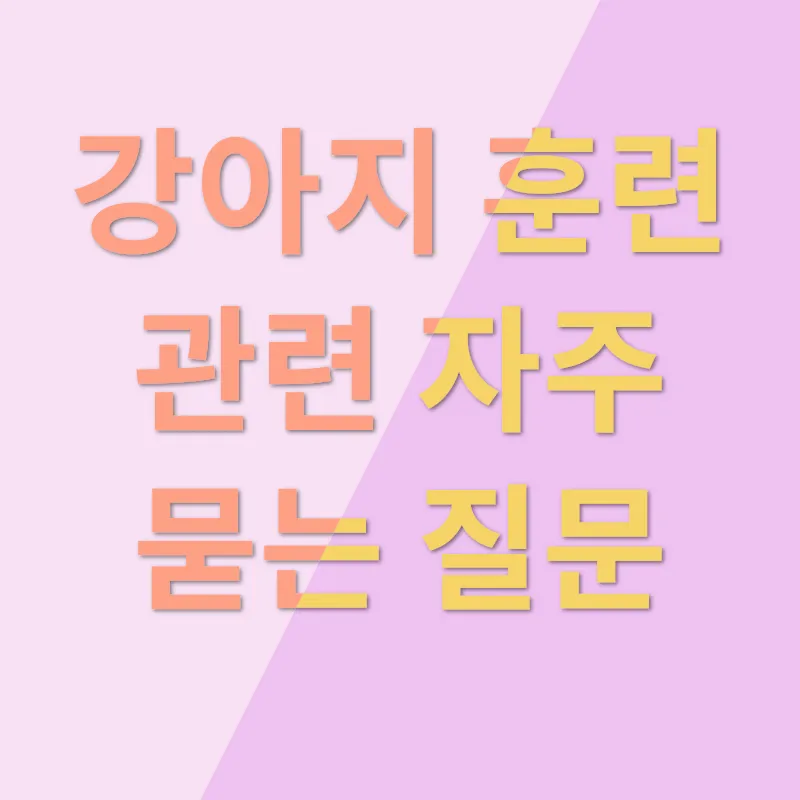 강아지훈련 자격증_4