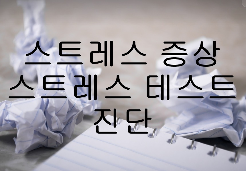  스트레스 증상  스트레스 테스트 진단