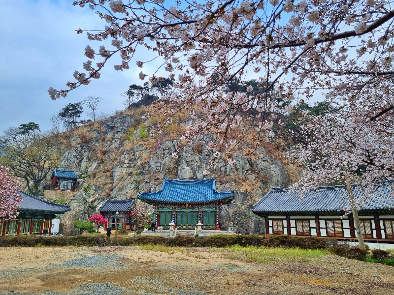 사찰전경