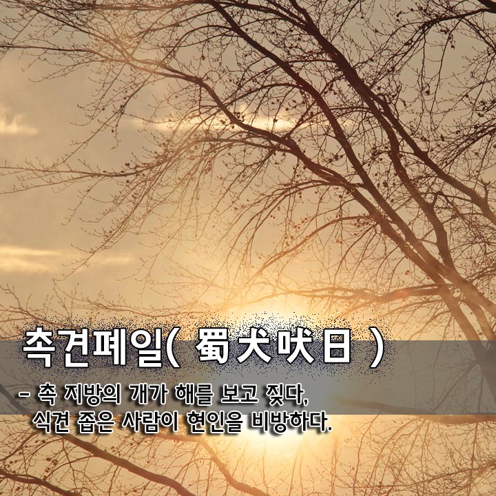  촉견폐일(蜀犬吠日)