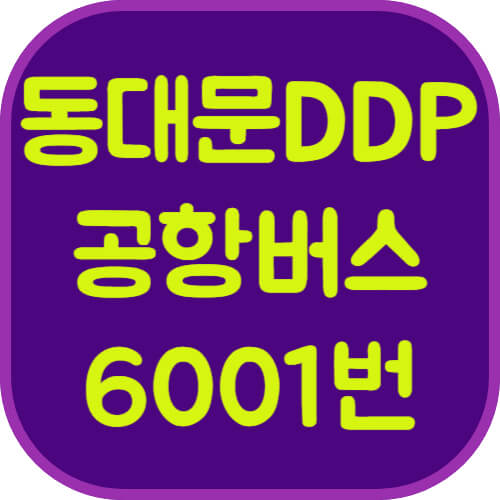 동대문DDP-6001번-공항버스-이미지