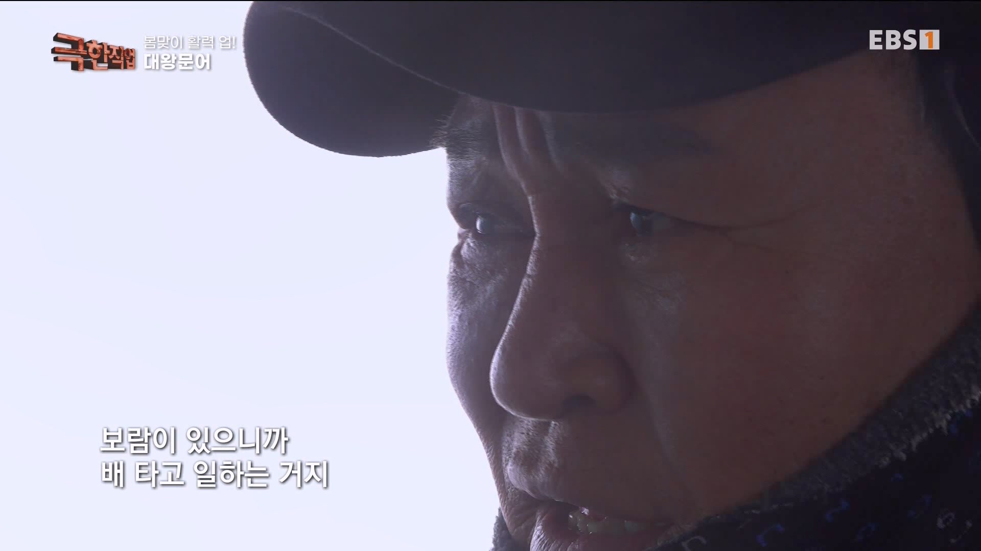 [극한 직업] 장어와 대왕문어 240316.mp4_20240317_153641.469.jpg