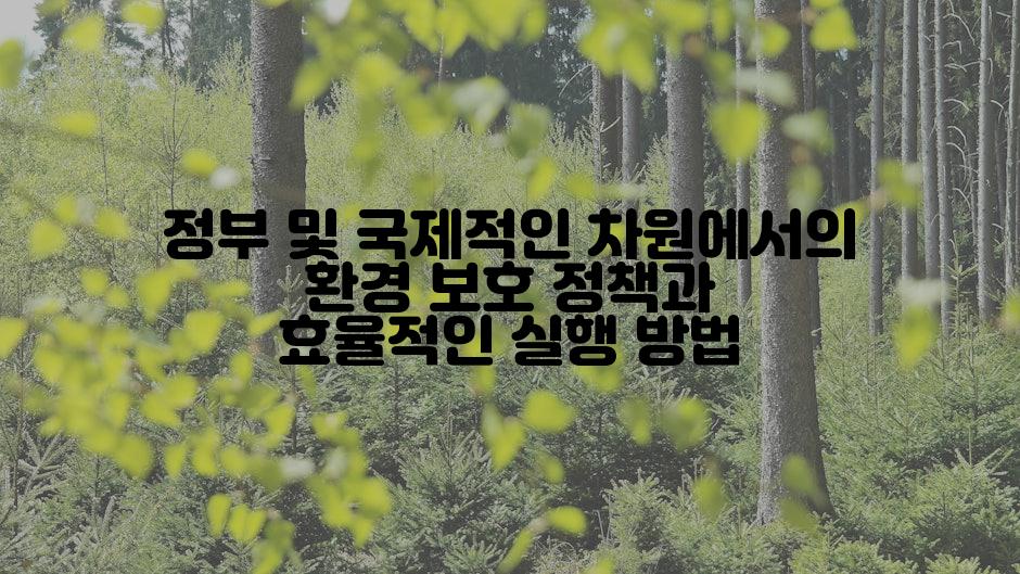 정부 및 국제적인 차원에서의 환경 보호 정책과 효율적인 실행 방법