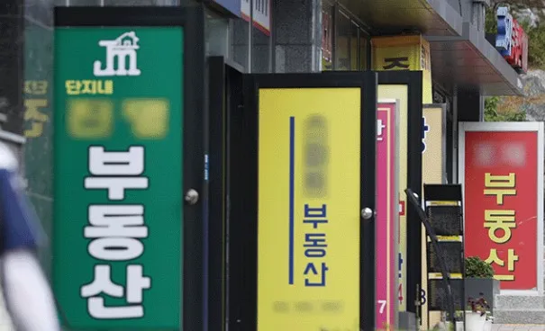 나란히-있는-공인중개사무소이다