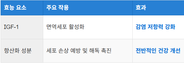 면역력 강화와 건강 증진